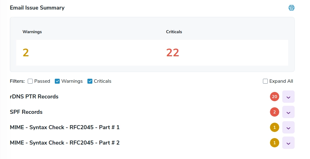 Email issue summary showing warning and critical counts across rDNS PTR records, SPF records, and MIME syntax checks